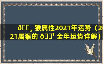 🕸 猴属性2021年运势（2021属猴的 🌹 全年运势详解）